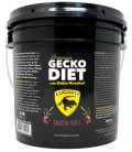Premium Gecko Diet - Dragon Fruit