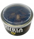 Canned Dubia Roaches