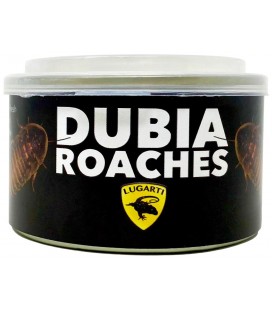 Canned Dubia Roaches