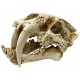Naturalistic Skull - Saber-tooth