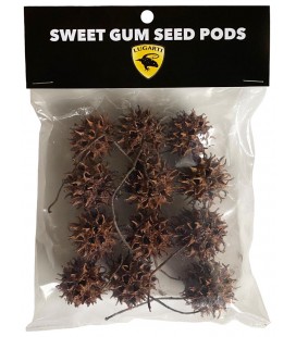 Sweet Gum Seed Pods