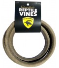 Naturalistic Reptile Vines - Large