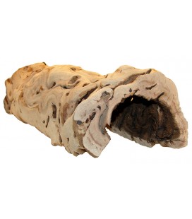 Premium Grapevine Hides