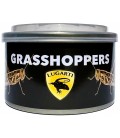 Canned Grasshoppers