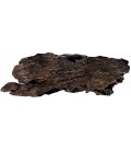 Naturalistic Tree Hide - Hickory Brown