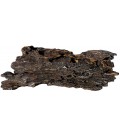 Naturalistic Tree Hide - Hickory Brown