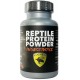 Reptile Protein Powder - Insectivore