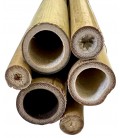 Natural Bamboo Poles