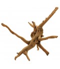 Spider Wood