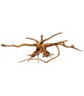 Spider Wood