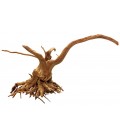 Spider Wood