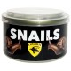 Canned Snails