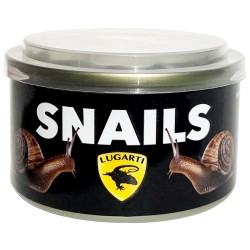 Canned Snails