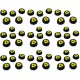 Gecko Food Dish - Breeder Pack (x50)