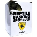 Reptile Basking Spot Bulb - 100w