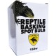 Reptile Basking Spot Bulb - 150w