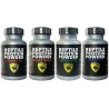 Reptile Protein Powder - BUNDLE