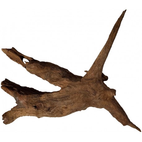 Natural Driftwood - Large