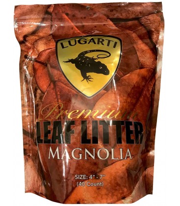 Premium Leaf Litter - Magnolia