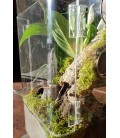 Tarantula Enclosure - Arboreal