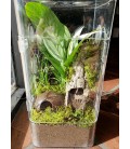 Tarantula Enclosure - Arboreal