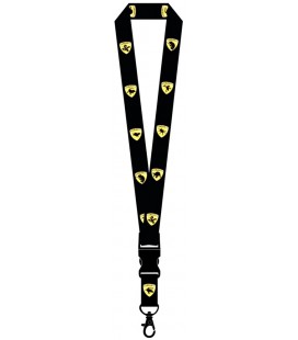 Lanyard