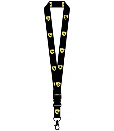 Lanyard