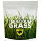 Terrarium Grass