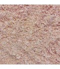 Premium Gecko Diet - Guava (8 oz)