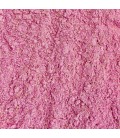 Premium Gecko Diet - Dragon Fruit