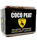 Premium Coco Peat - Triple Brick