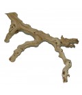 Premium Grapevine (WHSL)