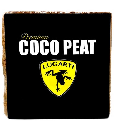 Premium Coco Peat - Block