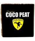 Premium Coco Peat - Block