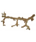 Premium Grapevine (WHSL)