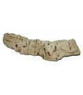 Premium Grapevine Hides