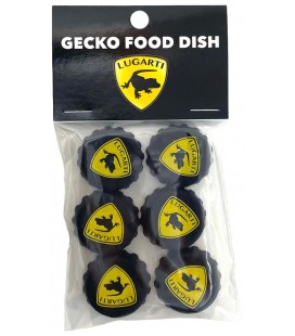 Gecko Food Dish - x6 (WHSL)