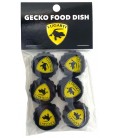Gecko Food Dish - Retail Pack